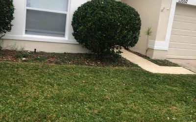 Photo of Melanie R.'s yard after getting landscaping in Geneva, FL