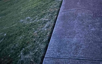 Photo of Brad H.'s yard after getting landscaping in Carrollton, TX