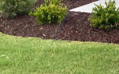Photo of Trisha E.'s yard after getting landscaping in Bunn, NC