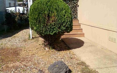 Photo of Rebecca M.'s yard after getting landscaping in Wilton, CA