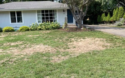 Photo of Chris M.'s yard after getting landscaping in Chanhassen, MN