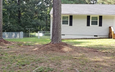 Photo of Sheila, J.'s yard after getting tree care in Midlothian, VA