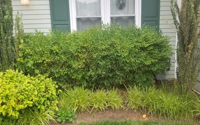 Photo of Mary A.'s yard after getting landscaping in Beallsville, MD