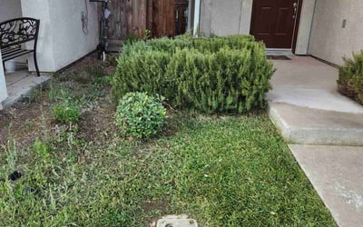 Photo of Alice R.'s yard after getting tree care in Fresno, CA