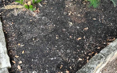 Photo of Karen L.'s yard after getting landscaping in Hondo, TX