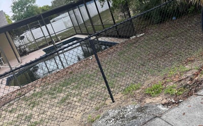 Photo of Violeta G.'s yard after getting tree care in Tampa, FL