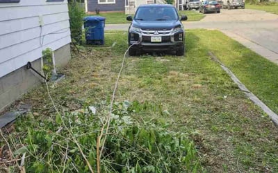 Photo of Karen A.'s yard after getting landscaping in Des Moines, IA