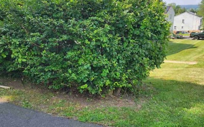 Photo of Robert K.'s yard after getting landscaping in Canton, CT