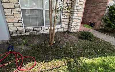 Photo of Marggi M.'s yard after getting landscaping in Rowlett, TX