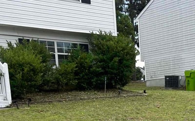 Photo of Lisa H.'s yard after getting landscaping in Columbia, SC