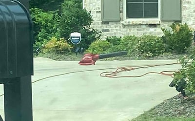 Photo of Tim S.'s yard after getting landscaping in Pearl, MS