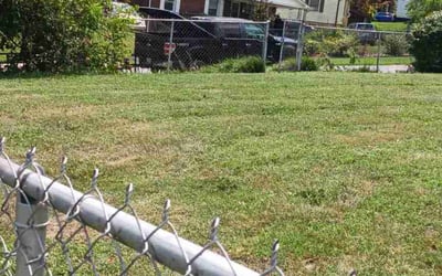 Photo of Lindsey L.'s yard after getting tree care in Kannapolis, NC