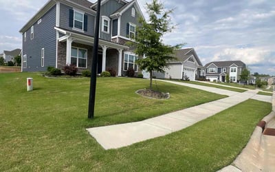 Photo of Cory D.'s yard after getting lawn care in Great Falls, SC