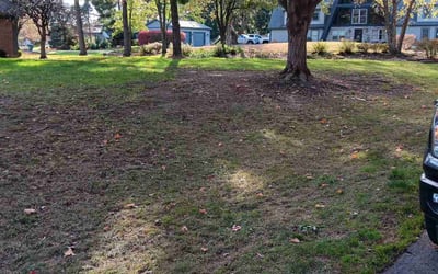 Photo of Samuel m.'s yard after getting landscaping in Mount Perry, OH