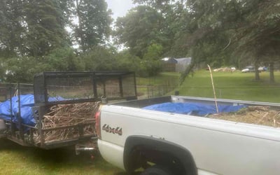 Photo of Kim G.'s yard after getting landscaping in Battle Creek, MI