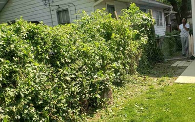 Photo of Michael S.'s yard after getting landscaping in Sheridan, IN
