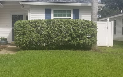 Photo of Mark H.'s yard after getting landscaping in Penney Farms, FL