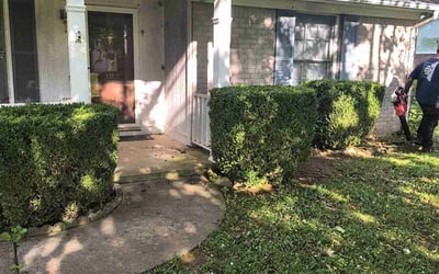 Photo of Robert R.'s yard after getting landscaping in Harvest, AL