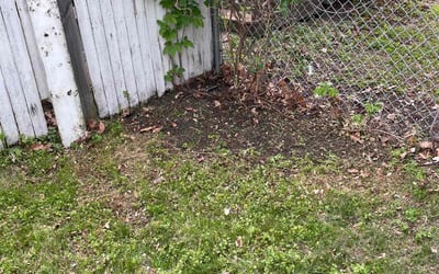 Photo of Tim C.'s yard after getting landscaping in Isle, MN
