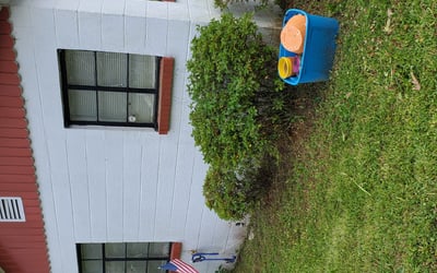 Photo of Louie D.'s yard after getting tree care in Moncks Corner, SC
