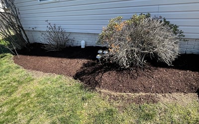 Photo of Rosa L.'s yard after getting tree care in Fort Washington, MD