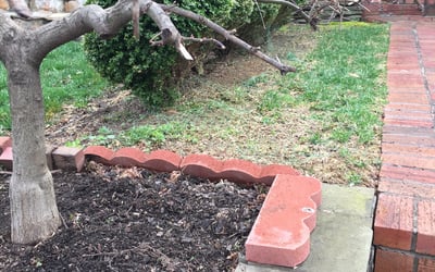 Photo of Michele M.'s yard after getting landscaping in Richardsville, VA