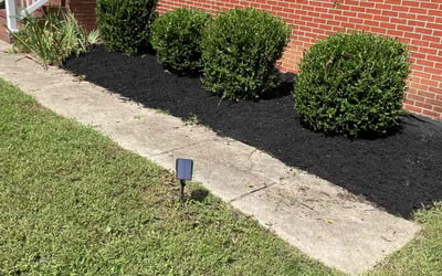 Photo of Cynthia L.'s yard after getting landscaping in Boston, VA