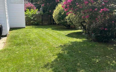 Photo of Shane B.'s yard after getting lawn care in Newport News, VA