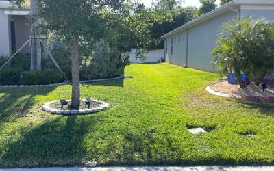 Photo of Mona H.'s yard after getting lawn care in Sanford, FL