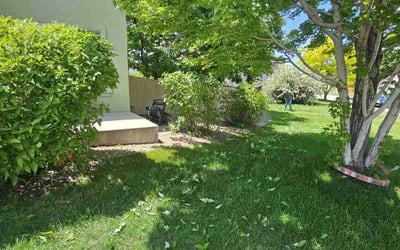 Photo of Angela M.'s yard after getting landscaping in Denver, CO