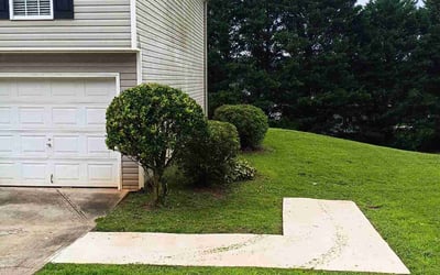 Photo of Rushia C.'s yard after getting tree care in Winder, GA