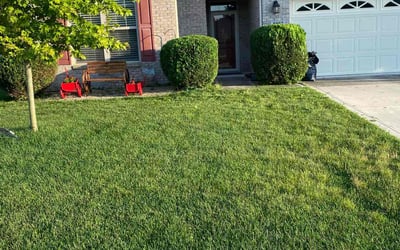 Photo of Betty W.'s yard after getting landscaping in Avon, IN