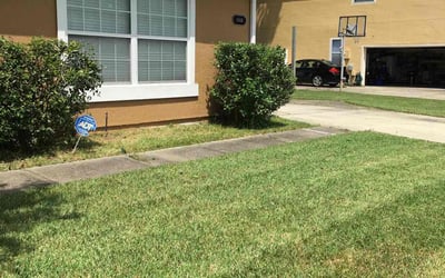 Photo of Monica C.'s yard after getting landscaping in Elkton, FL