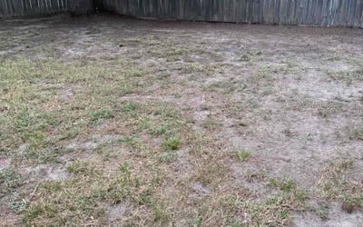 Photo of Timothy P.'s yard after getting landscaping in Newport News, VA
