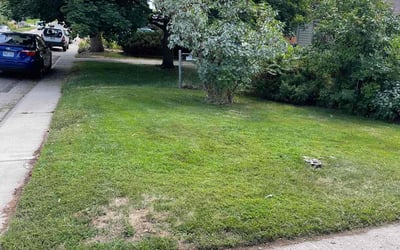 Photo of Jill S.'s yard after getting landscaping in Lake George, CO