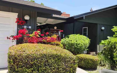 Photo of Alexis B.'s yard after getting landscaping in Laguna Hills, CA