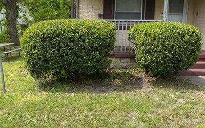 Photo of Eric L.'s yard after getting landscaping in Studley, VA