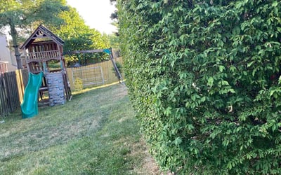 Photo of Anthony G.'s yard after getting landscaping in Versailles, KY