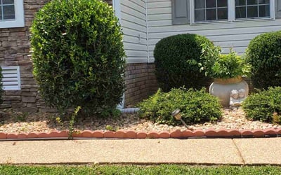 Photo of Kia J.'s yard after getting lawn care in Chester, VA