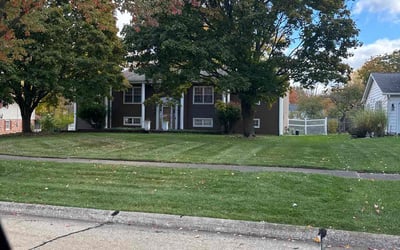 Photo of Rick M.'s yard after getting tree care in Cleveland, OH
