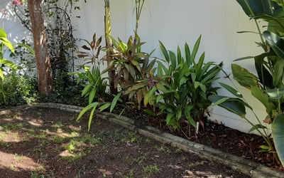 Photo of Bryan P.'s yard after getting landscaping in Trilby, FL