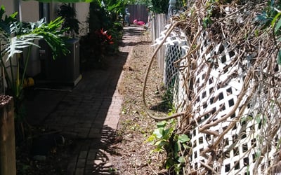 Photo of Susan S.'s yard after getting landscaping in Gotha, FL