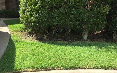Photo of Ellen A.'s yard after getting landscaping in Mont Belvieu, TX