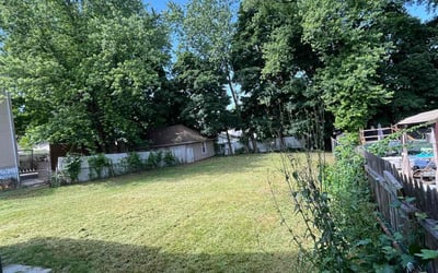 Photo of Katelyn G.'s yard after getting lawn care in New Rochelle, NY