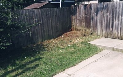 Photo of Penelope B.'s yard after getting tree care in Murfreesboro, TN