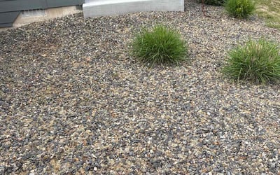 Photo of Joe Y.'s yard after getting tree care in Boise, ID