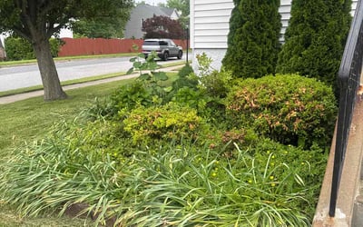Photo of Matthew S.'s yard after getting landscaping in Perry Hall, MD