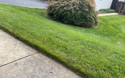 Photo of Stephanie H.'s yard after getting landscaping in Kearneysville, WV