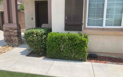 Photo of Joycleyn A.'s yard after getting tree care in Fallbrook, CA