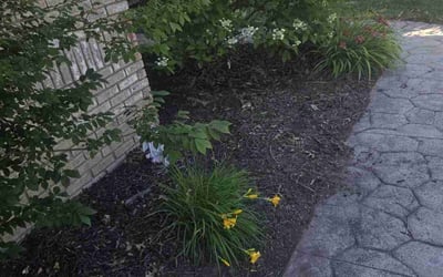 Photo of Deanna A.'s yard after getting landscaping in Macomb, MI